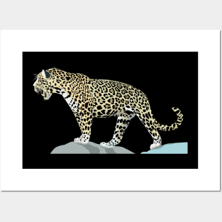 Jaguar Posters and Art